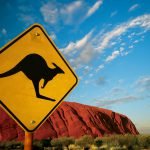 Sydney Australie voyage opéra pavlova koala kangourou