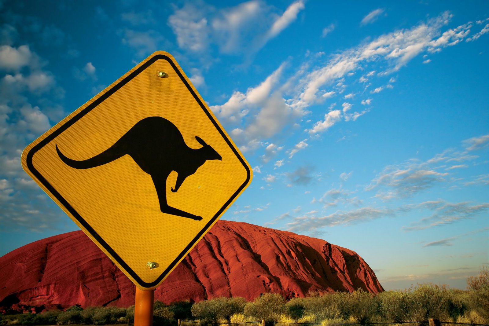 Sydney Australie voyage opéra pavlova koala kangourou