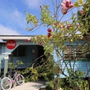 Bélize-petit restaurant